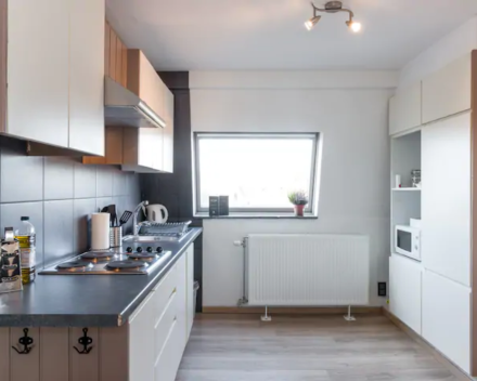 Duplex Apartement with sight on Damse canal @ Bruges